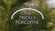 The Prickly Porcupine