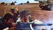 Five Days in Sinai en streaming