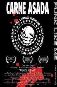 Poster Punk Like Me 2006