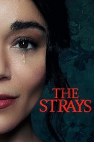 The Strays 2023 Movie Hindi & Multi Audio NF WEB-DL 1080p 720p 480p