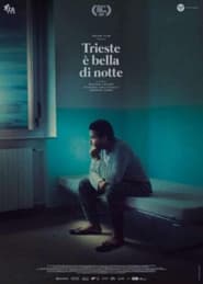 Poster Trieste Shines at Night