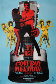 Poster Cowboy Melodie