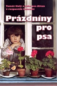 Prázdniny pro psa