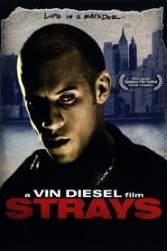 Voir Strays en streaming vf gratuit sur streamizseries.net site special Films streaming