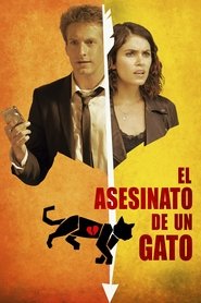 El asesinato de un gato