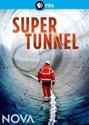 Poster Super Tunnel 2016