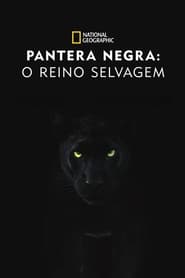 Pantera Negra: O Reino Selvagem