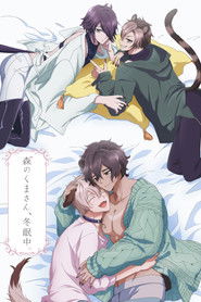 森のくまさん、冬眠中。 (2022)