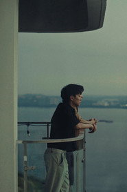 Dazing Gaze
