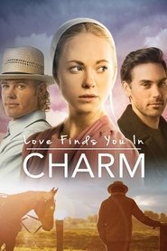 Poster Love Finds You in Charm 2015