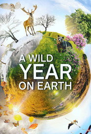 A Wild Year on Earth постер