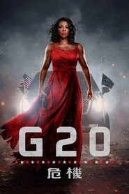 G20危机 (2025)