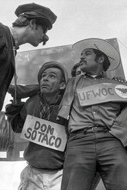American Pachuco: The Legend of Luis Valdez