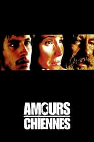 Amours chiennes film en streaming