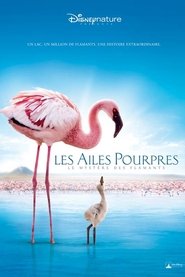 Les Ailes pourpres : Le Mystère des flamants movie