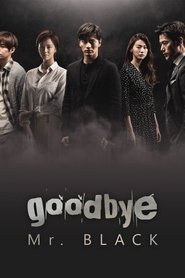 Goodbye Mr. Black (2016)