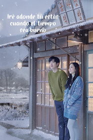 When the Weather Is Fine poster