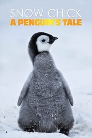 Snow Chick – A Penguin’s Tale