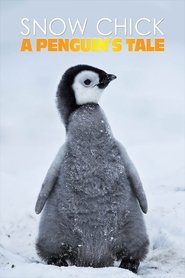 Poster Snow Chick - Aus dem Leben eines Pinguins