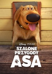 Szalone przygody Asa