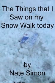 مترجم أونلاين و تحميل The Things that I Saw on my Snow Walk today 2022 مشاهدة فيلم