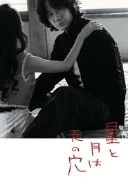 The Stars and the Moon are Holes in the Sky (2025)