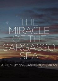 The Miracle of the Sargasso Sea