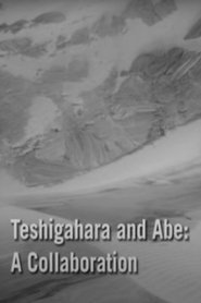 Poster Teshigahara and Abe 2007 Poster Teshigahara and Abe 2007