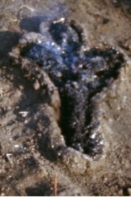 Poster Untitled: Silueta Series (Gunpowder Works) 1980