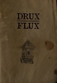 Poster Drux Flux 2008