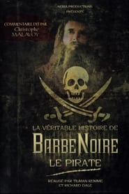 La Véritable Histoire de Barbe Noire le pirate s01 e01