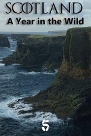 مشاهدة مسلسل Scotland: A Year In The Wild مترجم أون لاين بجودة عالية