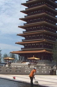 Landscape Tempos 17-24