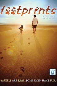 Poster Footprints 2011
