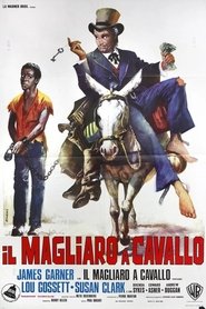 Il magliaro a cavallo