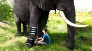 Episode 1: Derrick’s Elephant Challenge