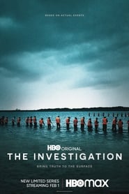 The Investigation постер