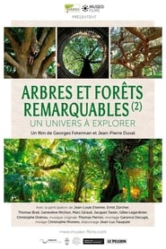 Poster Arbres et forêts Remarquables, un univers à explorer 2021