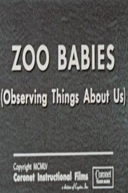 Poster Zoo Babies (Observing Things About Us)