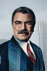 Blue Bloods Season 14 9