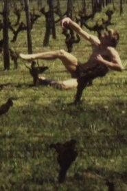 Poster A Lost Body 1988