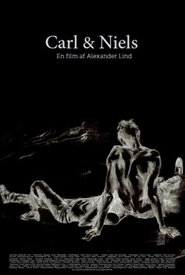 Poster Carl & Niels 2013