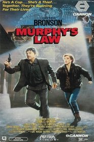 Murphy's Law