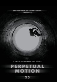 Poster Perpetual Motion 2013