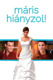 M&aacute;ris hi&aacute;nyzol! (2010)