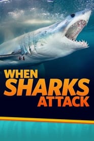 When Sharks Attack Season 4 Episode 5