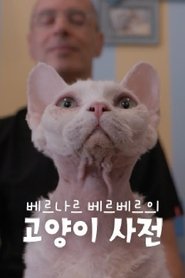 Image 베르나르 베르베르의 고양이 사전