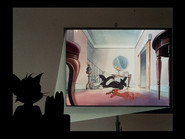Shutter-Bugged Cat