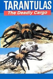 Tarantulas: The Deadly Cargo постер