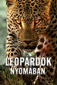 Leopárdok nyomában